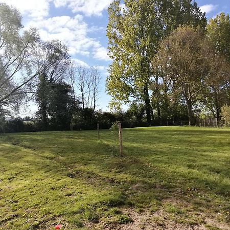 Foret De Nieppe Merville  Bagian luar foto